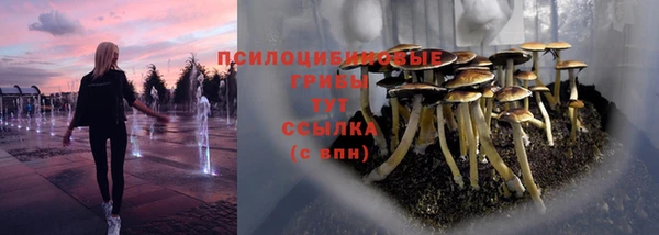 ГАЛЛЮЦИНОГЕННЫЕ ГРИБЫ Армянск