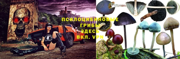 ГАЛЛЮЦИНОГЕННЫЕ ГРИБЫ Армянск
