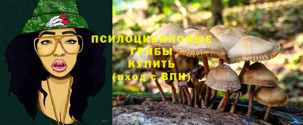 ПСИЛОЦИБИНОВЫЕ ГРИБЫ Аркадак